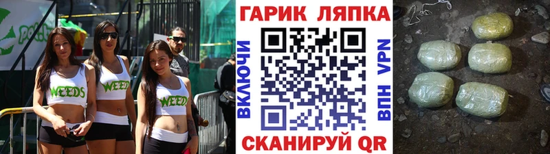 купить наркотик  Приморско-Ахтарск  Гашиш индика сатива 