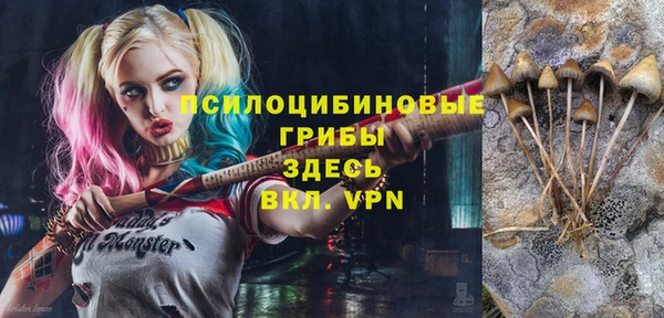 индика Пестово